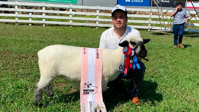 Hampshire Down impulsa su calidad: importan 40 ejemplares de Uruguay para fortalecer la genética ovina nacional