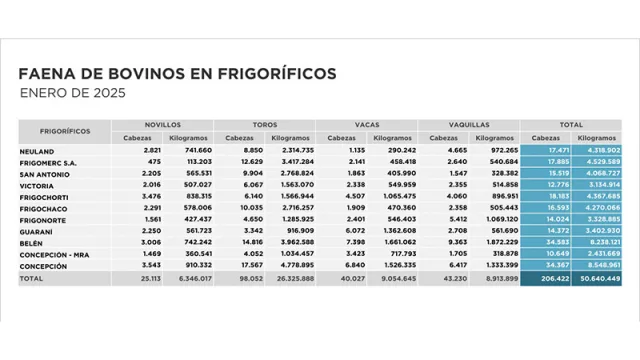 Más de 50 millones de kilos de carne procesada: Estos son los frigoríficos con mayor producción en enero