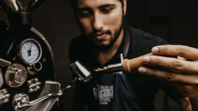 Todos quieren su taza de café: el de especialidad suma adeptos y apunta a crecer en 2025