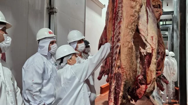 Auditores coreanos evalúan la calidad de la carne paraguaya para su habilitación en el mercado asiático