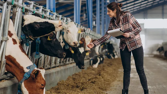 Con perseverancia y determinación, la mujer paraguaya viene ganando protagonismo en el campo productivo nacional
