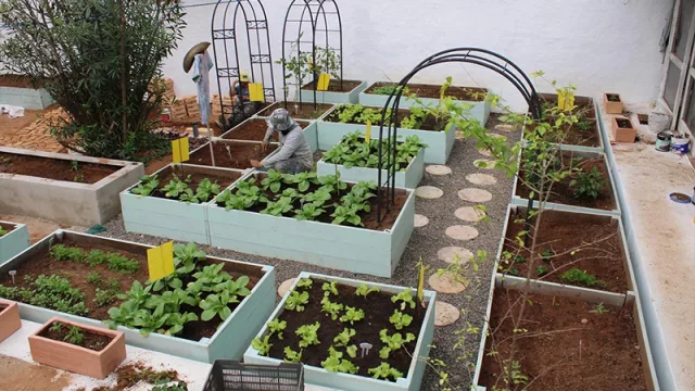 Otoño: el mejor momento para plantar frutales y apostar por huertas urbanas