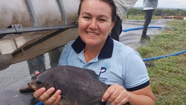 De estanques a tanques inteligentes: la acuicultura se reinventa en Paraguay