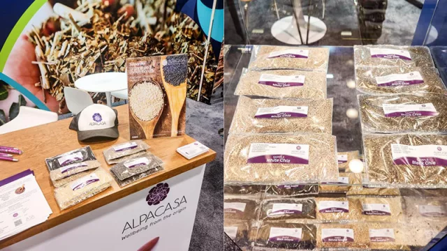 Alpacasa apuesta por la innovación con Chíame: un superalimento paraguayo con proyección internacional