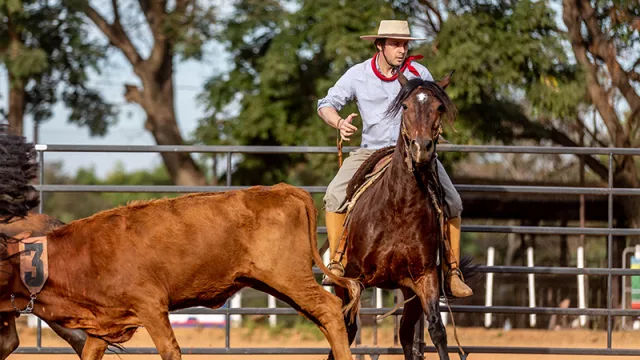 Criadores de caballos criollos preparan su Nacional de Otoño y estiman superar los 100 animales inscriptos