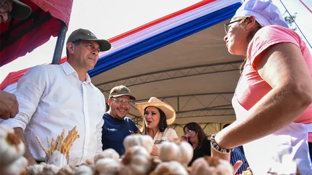 Invierten G. 3.100 millones para aumentar producción de ajo: del 5% al 30% de consumo local este año