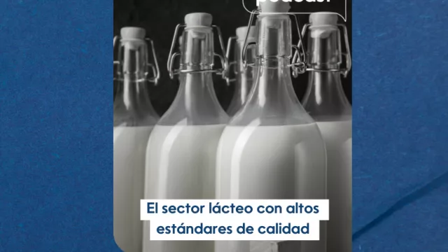 InfoBiz Podcast: Industria láctea paraguaya presenta mayor crecimiento en Mercosur