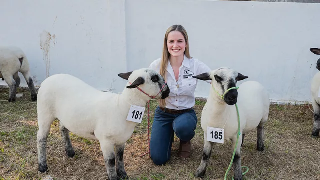Crecimiento récord y expectativas galácticas en la 5ª Nacional de Hampshire Down