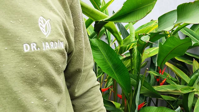 Paisajismo profesional: el nuevo motor verde que mueve US$ 15 millones y aumenta hasta un 30% el valor de una propiedad