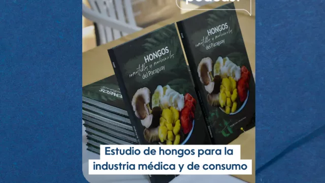 InfoBiz Podcast: Estudio de hongos para la industria médica y de consumo