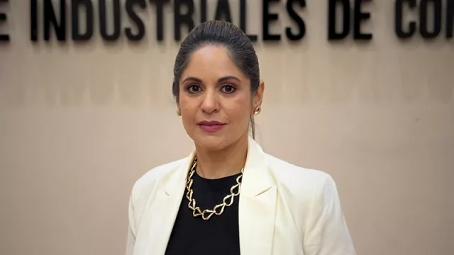 Motor del norte: Concepción crece desde el agro, la industria y el comercio