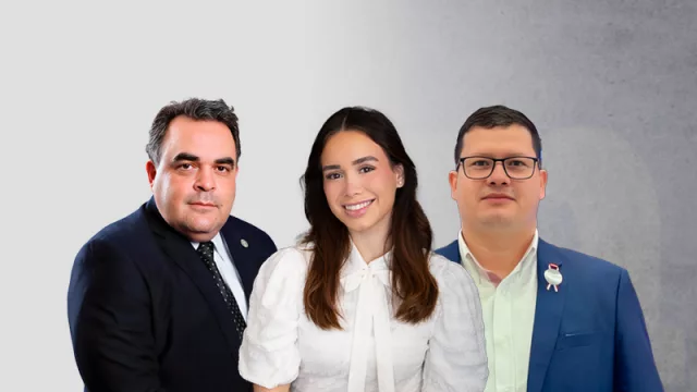 Industria de dulces y golosinas crece con sabor local y proyección global (EE.UU. demanda más edulcorantes, galletitas y turrones)