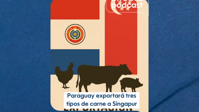 InfoBiz Podcast; Carne Paraguaya gana nuevos mercados