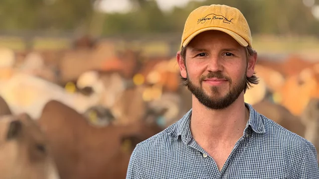 Del corazón de África al Chaco: la raza vacuna Boran conquista Sudamérica desde Paraguay