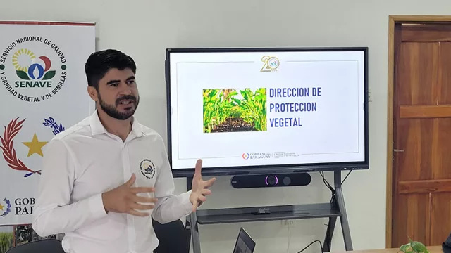 90 días sin soja: la estrategia paraguaya que protege cultivos y abre mercados
