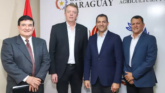 Exportaciones de mandioca caen 40% y el sector busca revertir la crisis con apoyo estatal