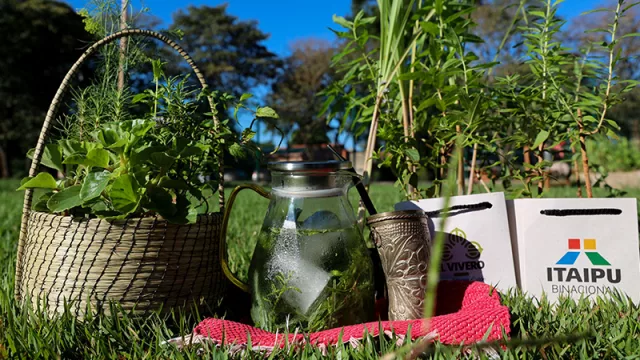 Planean regular a las herboristerías: ¿Qué cambios traería la nueva ley?