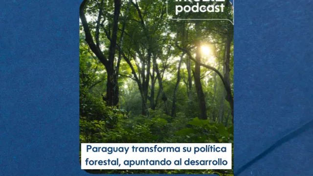 Paraguay transforma su política forestal apuntando al desarrollo