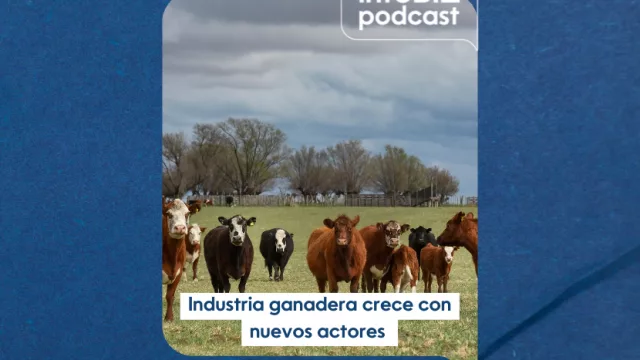 Industria ganadera evoluciona junto a productores