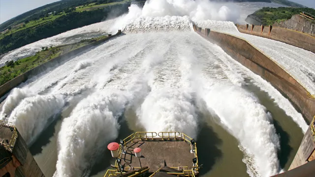 Puente entre Paraguay y Europa: inversionistas buscarán oportunidades en sector forestal y transporte sostenible y energía renovable