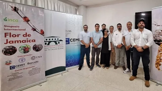 Con sabor a oportunidad: Paraguay desarrolla variedades propias de flor de Jamaica con alto valor agregado