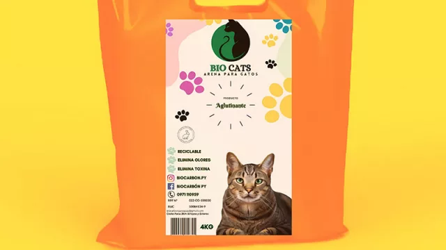 Todo Gato, el emprendimiento que nació desde cero y hoy mima a los felinos de todo el país