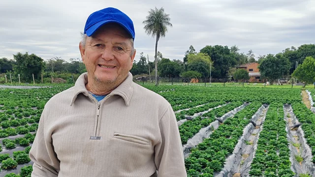 Valor agregado y marca propia: frutilleros de Estanzuela prevén apertura de showroom de G. 1.000 millones