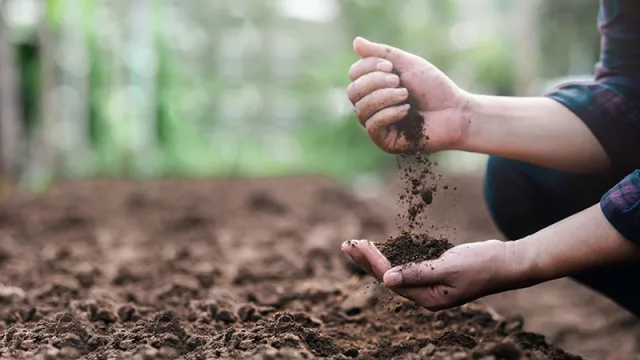 Conservación del suelo: “Sin ordenamiento, se pierde suelo y surgen conflictos de uso”