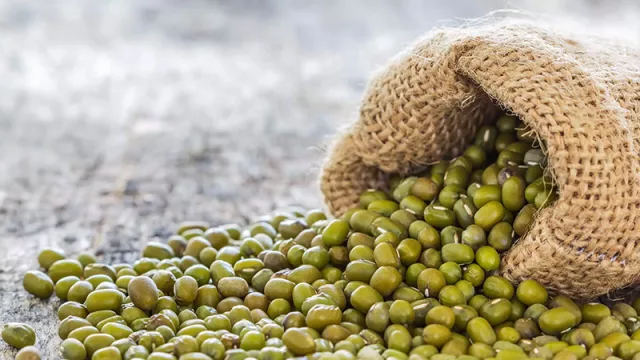 Del Chaco al sudeste asiático: Yurumí procesará hasta 40 contenedores de poroto mungo en 2025