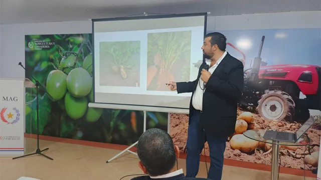 De 12.000 a 20.000 kilos por hectárea: el salto productivo que quieren lograr con la papa