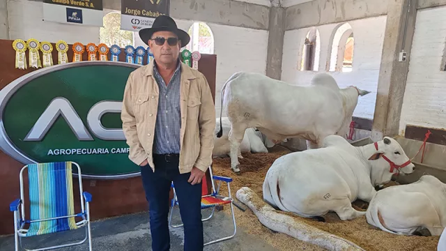 Genética Nelore desde la Expo Paraguay: Gran tamaño, jiba pronunciada y carne con marmoreo