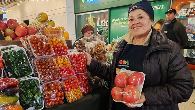 Horticultura bajo invernadero y sin intermediarios: la finca de Saturnina Ovelar impulsa vegetales exóticos desde Cordillera