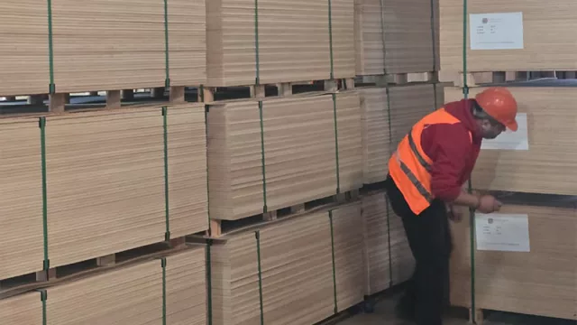 Pilar Trading exporta a Italia y fortalece su operación con derivados de eucalipto reforestado