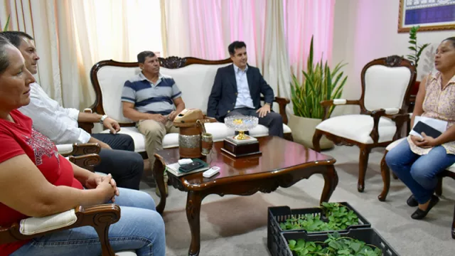 Frutillas hidropónicas y para el todo año: demandaría inversión de G. 200 millones para albergar 300.000 plantas