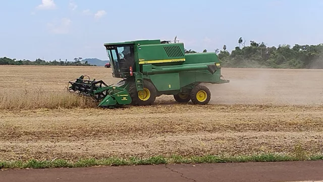 Productores de soja inician preparativos para la zafra 2025-2026 (buscan mayor producción y protagonismo en la trazabilidad)