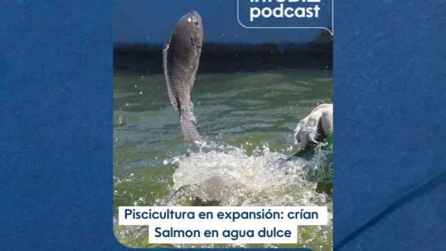 Piscicultura en expansión: Paraguay cría Salmon en agua dulce, conocido como el Pira Pytã