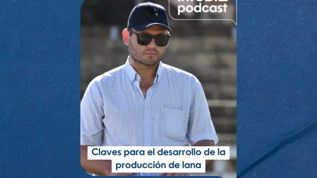 Claves para el desarrollo de la producción de lana