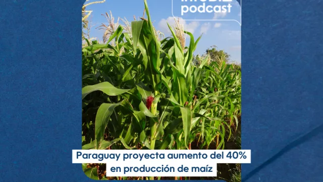 Paraguay proyecta aumento de la producción de Maíz