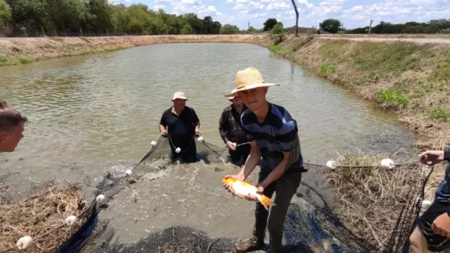 Jaulas flotantes, genética mejorada y nuevas especies: así crece la piscicultura paraguaya