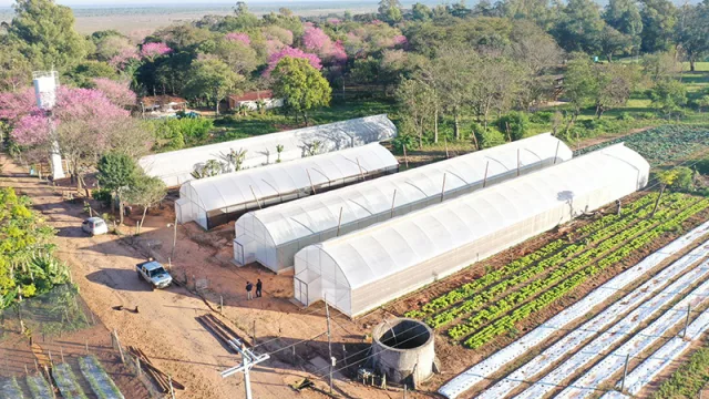 En Cerrito hay un semillero de jóvenes que impulsará el agro paraguayo