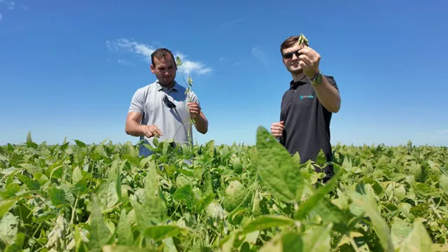 Nanotecnología para el agro: cómo la tecnología ayuda a mitigar el impacto climático en los cultivos