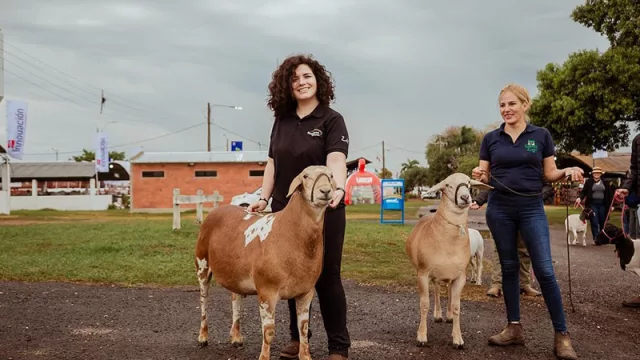 Expo Norte 2025 proyecta superar los 60.000 visitantes y consolidarse como referente ganadero en la región
