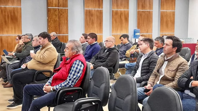 ¿Conviene a Paraguay suspender la vacunación contra la fiebre aftosa?