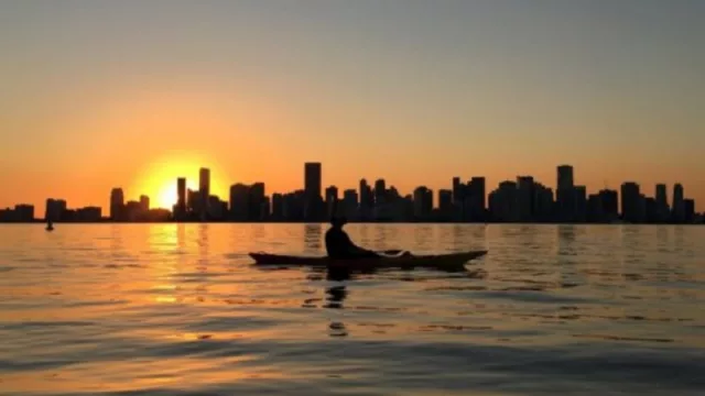 Miami está llena de espacios culturales y parques instagrameables donde puedes sacar las mejores fotos cool en este 2025