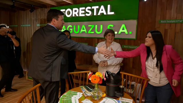 Expo Madera 2025: Paraguay muestra su potencial forestal y las oportunidades para la industria paraguaya