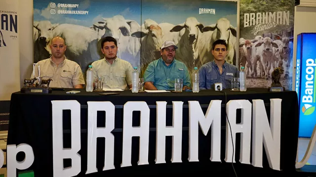 Brangus y Brahman marcan genética de élite: grandes negocios delinearán la primavera ganadera 2025