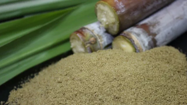 Innovación en caña de azúcar: Paraguay busca duplicar rendimientos y potenciar la industria