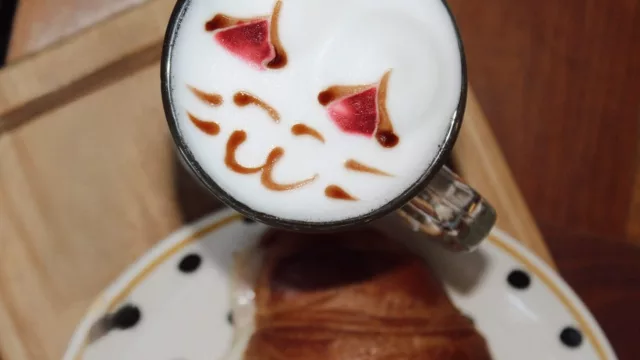 Nacido del amor por los gatos y el café, Coffee Cat se convirtió en un refugio de calma, empatía y buena energía en Asunción