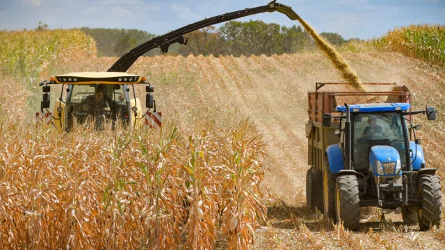 Paraguay crecerá 5,3% este año: el agro y la industria marcan el ritmo del crecimiento