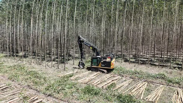 Pertti Latikka: “América Latina liderará la nueva era forestal y Paraguay tiene mucho por crecer”